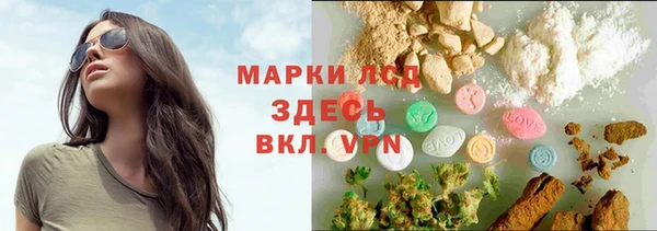 индика Абинск