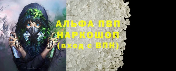 индика Абинск
