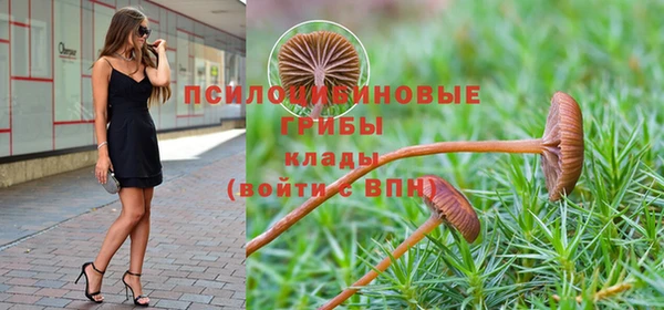 мяу мяу мука Алексеевка
