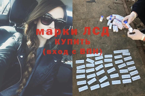ПСИЛОЦИБИНОВЫЕ ГРИБЫ Михайловск