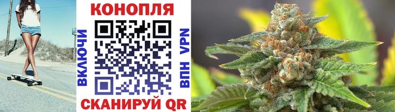 Марихуана MAZAR  купить закладку  Новотитаровская 